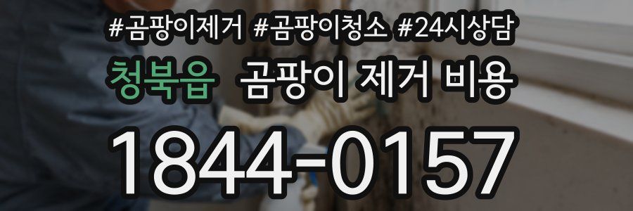 청북읍 곰팡이 제거 비용
