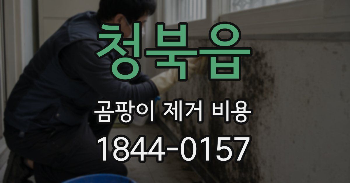 청북읍 곰팡이 제거 비용