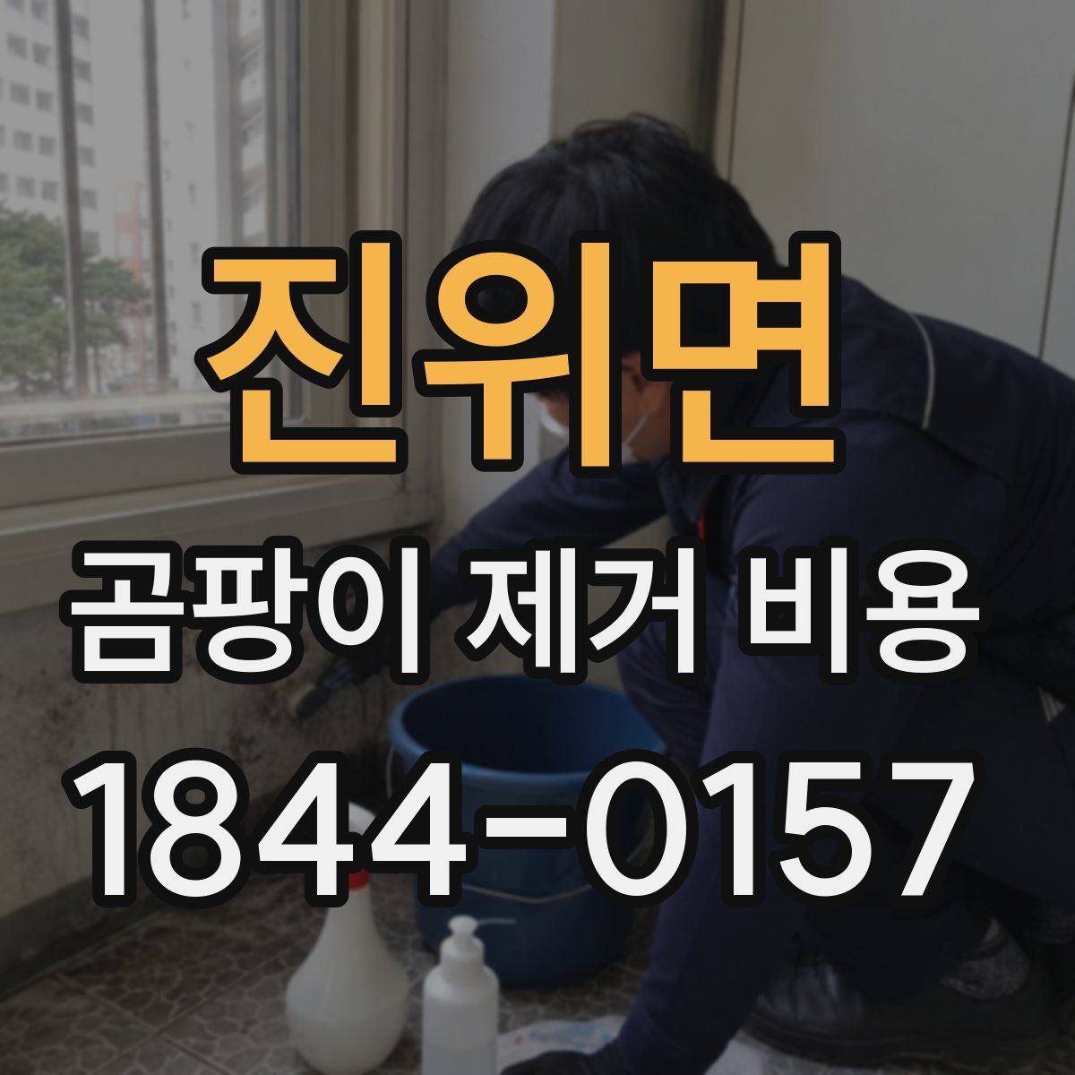 진위면 곰팡이 제거 비용