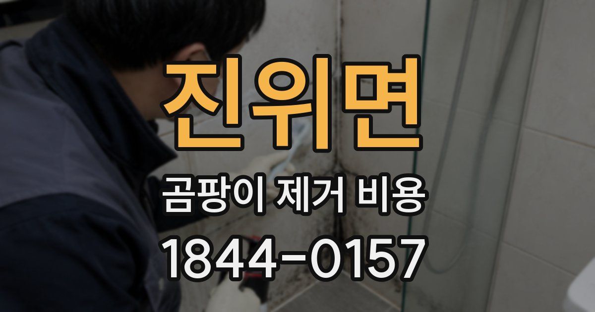 진위면 곰팡이 제거 비용