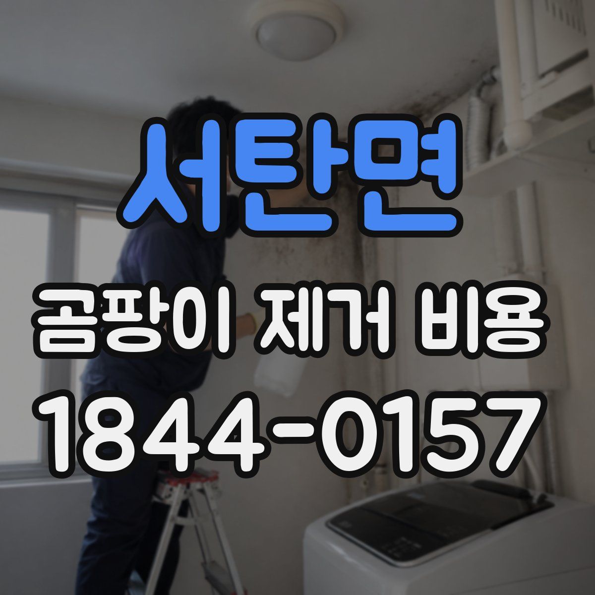 서탄면 곰팡이 제거 비용