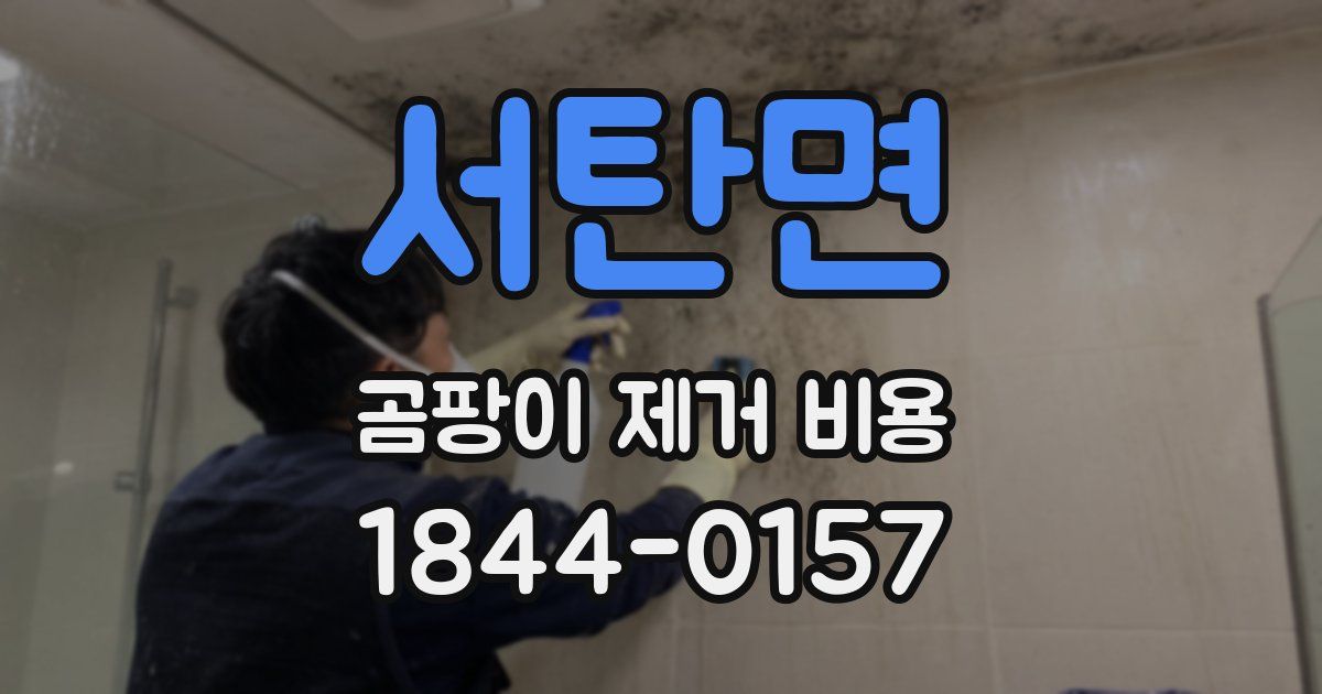 서탄면 곰팡이 제거 비용