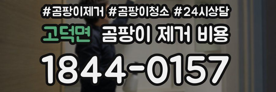고덕면 곰팡이 제거 비용