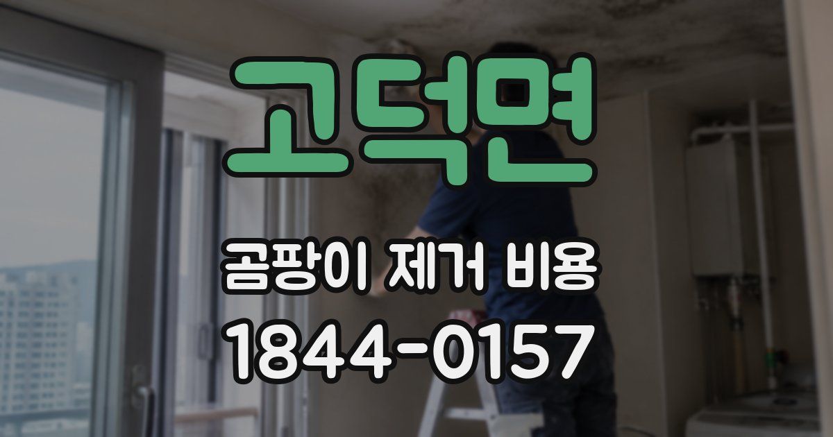 고덕면 곰팡이 제거 비용