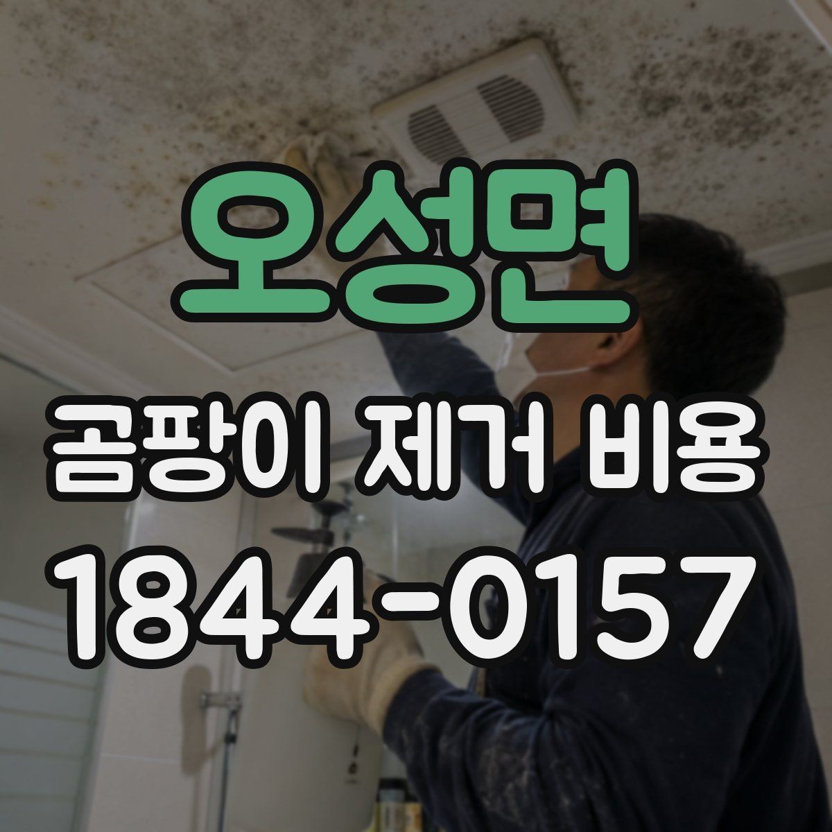 오성면 곰팡이 제거 비용 보험 청구 전 준비할 증빙 자료