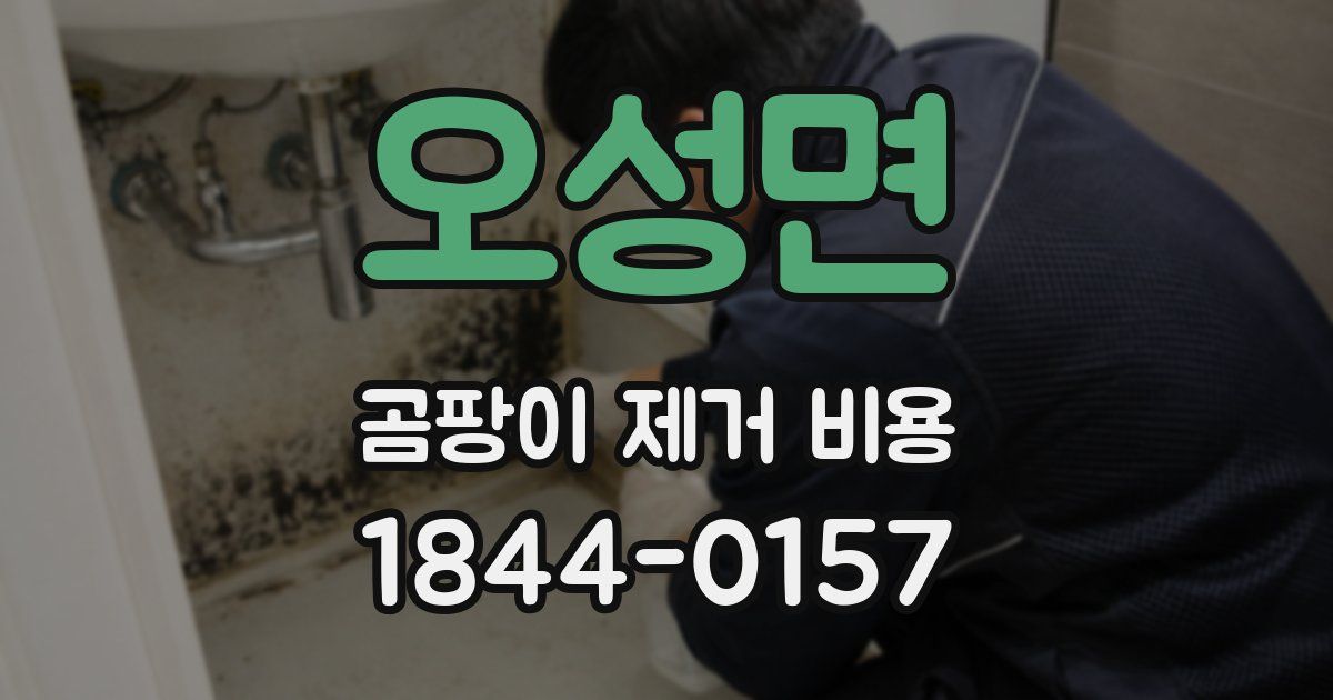 오성면 곰팡이 제거 비용