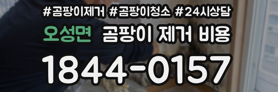 오성면 곰팡이 제거 비용
