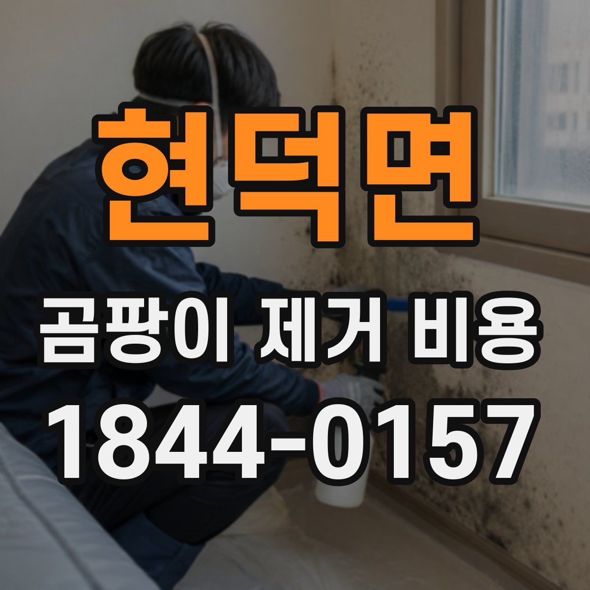 현덕면 곰팡이 제거 비용