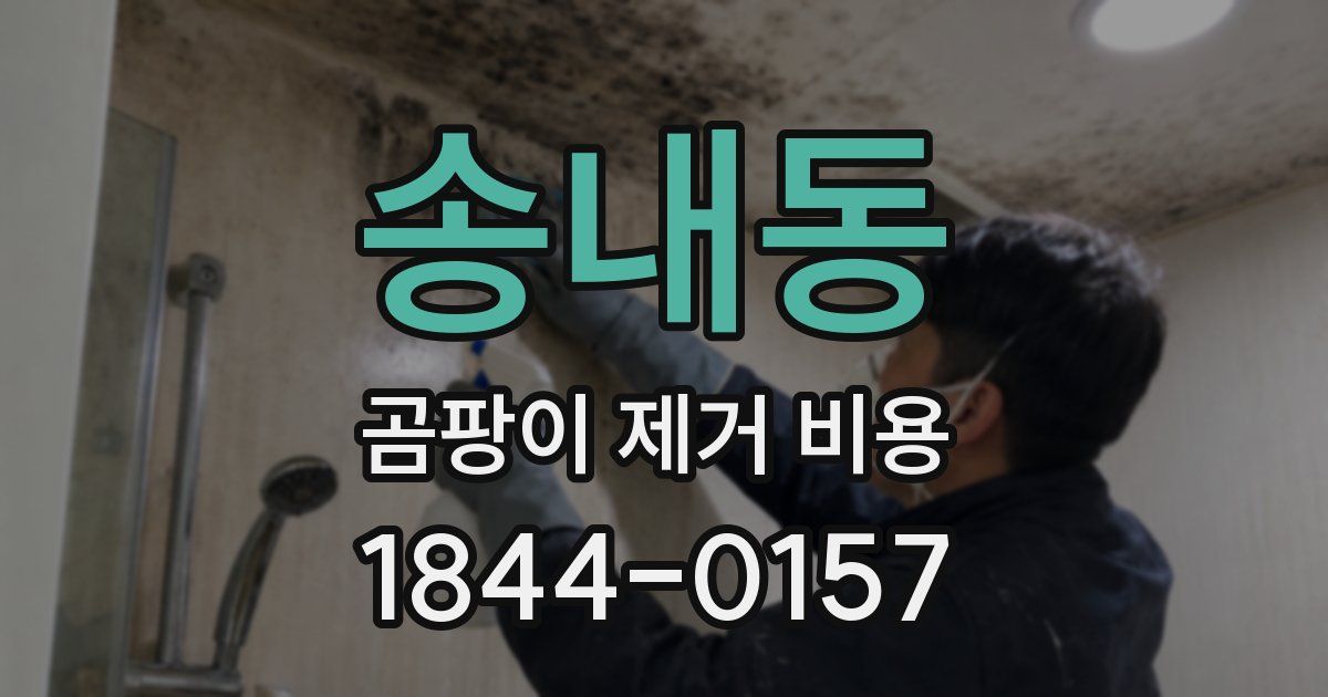 송내동 곰팡이 제거 비용