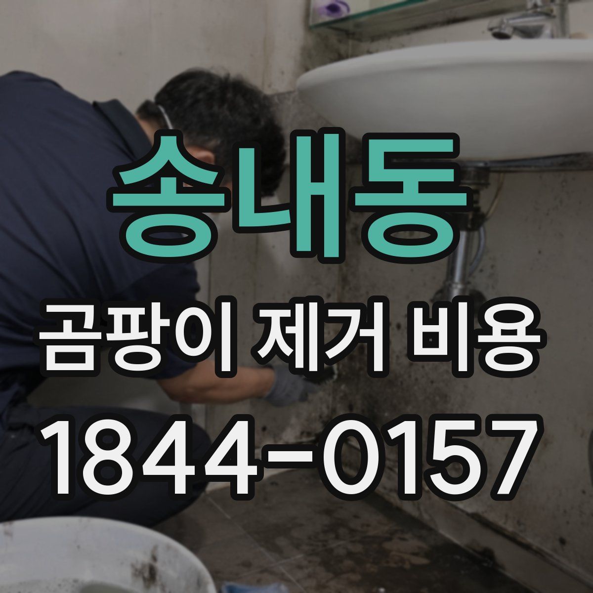 송내동 곰팡이 제거 비용