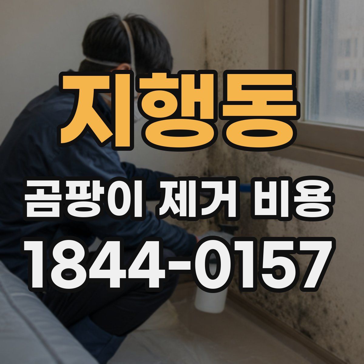 지행동 곰팡이 제거 비용