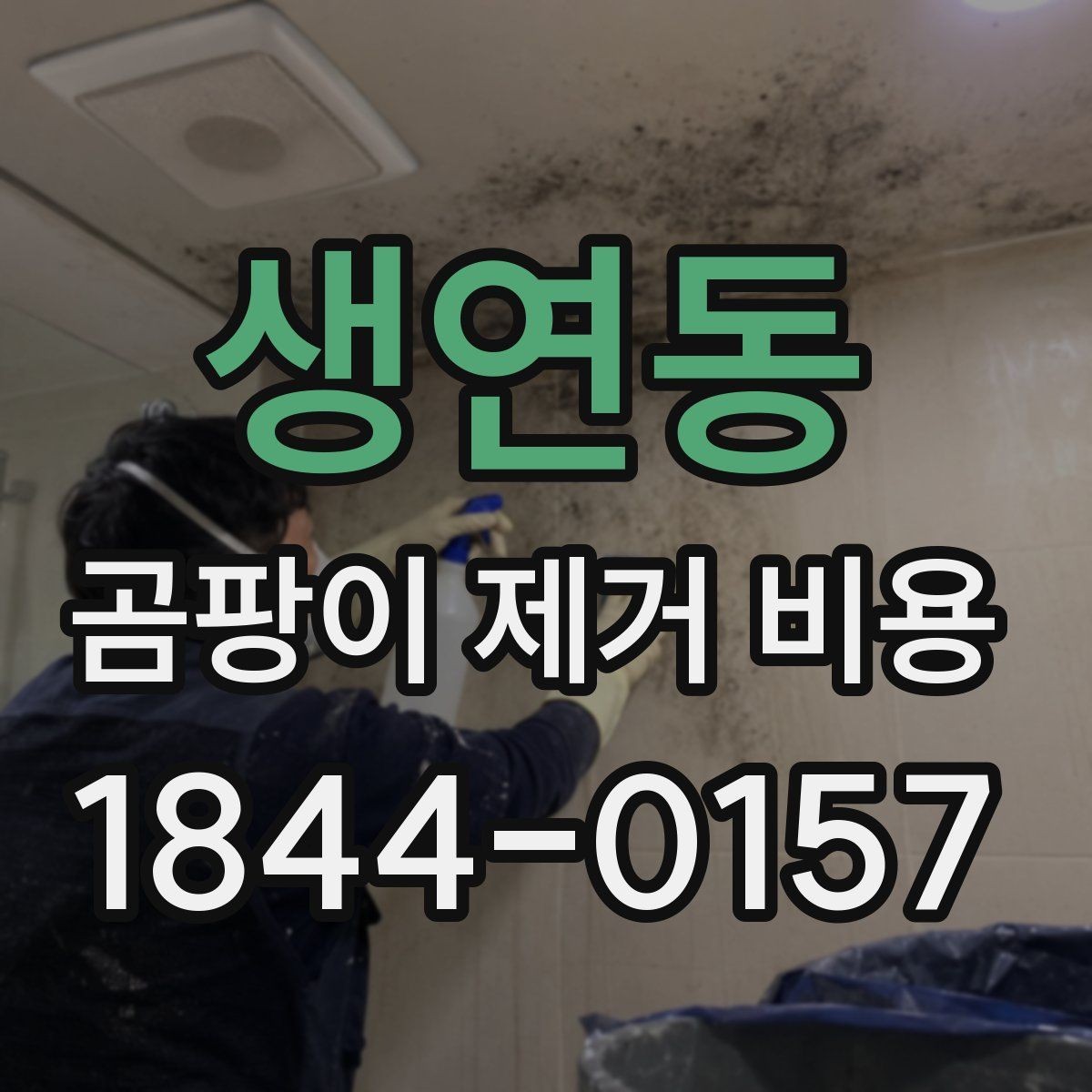 생연동 곰팡이 제거 비용 베란다와 욕실은 처리 방식이 어떻게 다를까