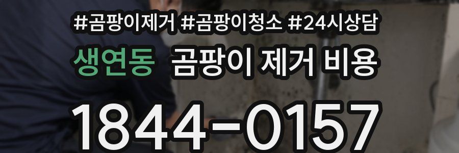 생연동 곰팡이 제거 비용