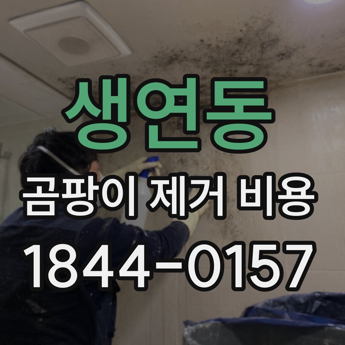 생연동 곰팡이 제거 비용