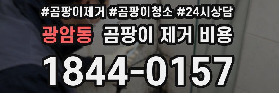 광암동 곰팡이 제거 비용
