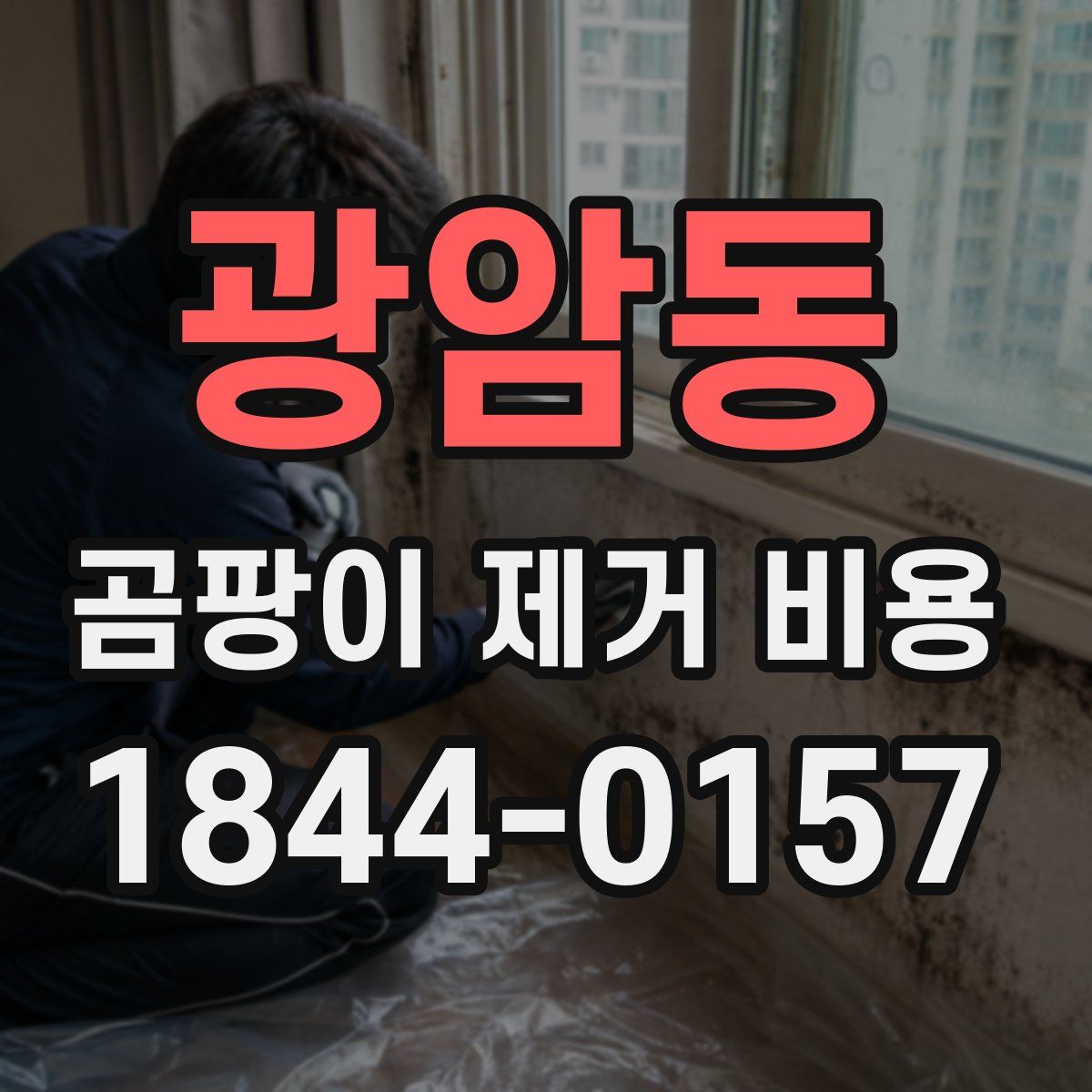 광암동 곰팡이 제거 비용