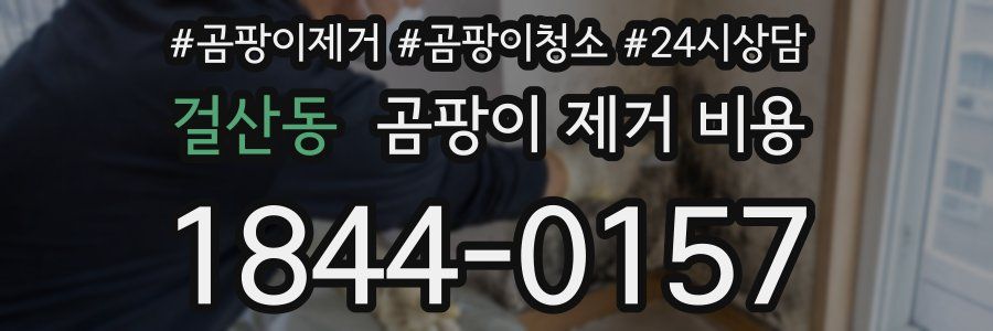 걸산동 곰팡이 제거 비용