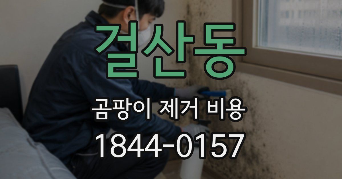 걸산동 곰팡이 제거 비용