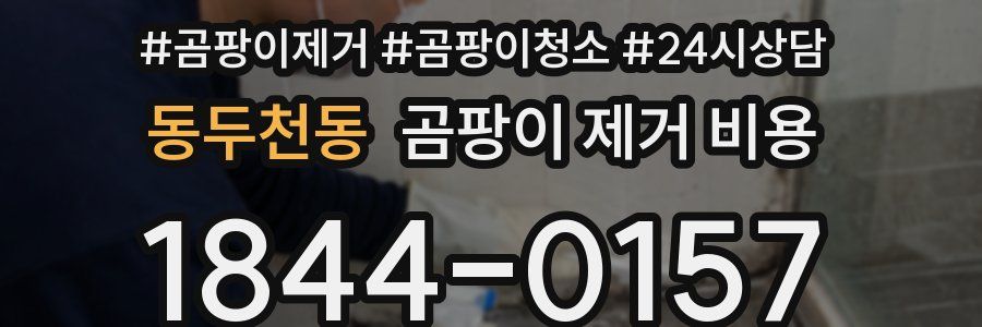 동두천동 곰팡이 제거 비용