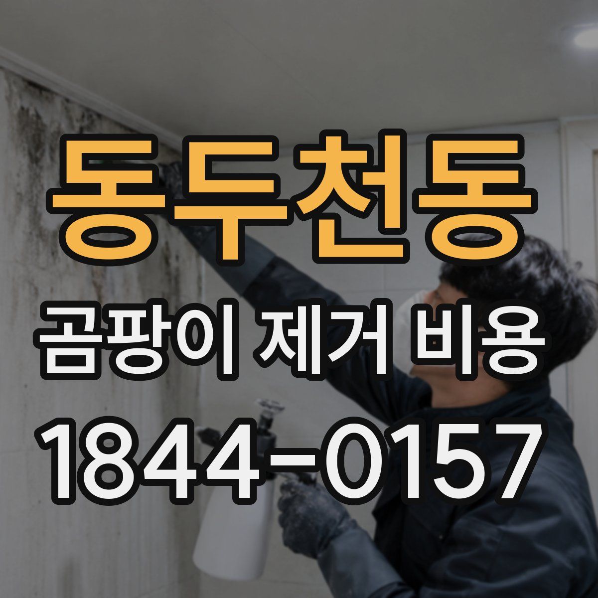 동두천동 곰팡이 제거 비용