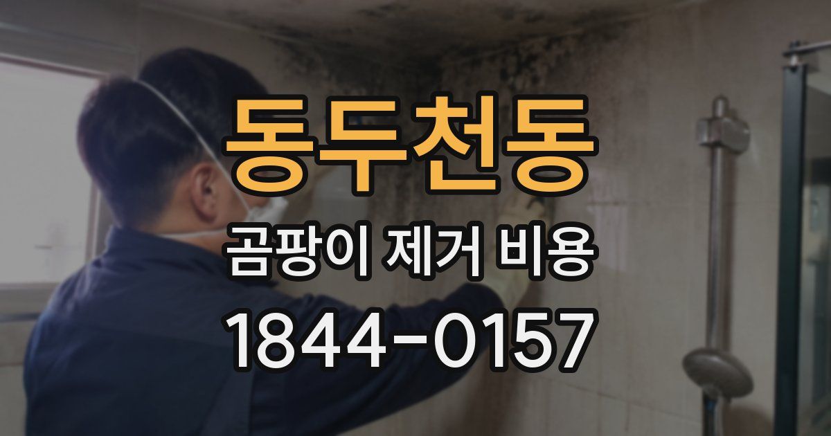 동두천동 곰팡이 제거 비용
