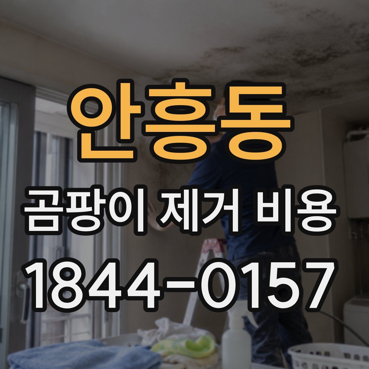안흥동 곰팡이 제거 비용