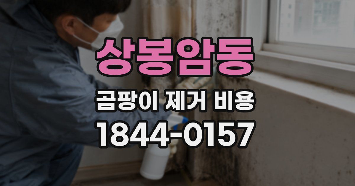 상봉암동 곰팡이 제거 비용