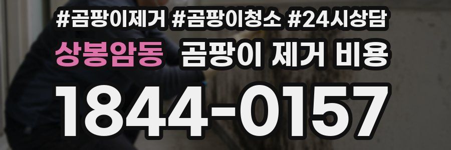 상봉암동 곰팡이 제거 비용