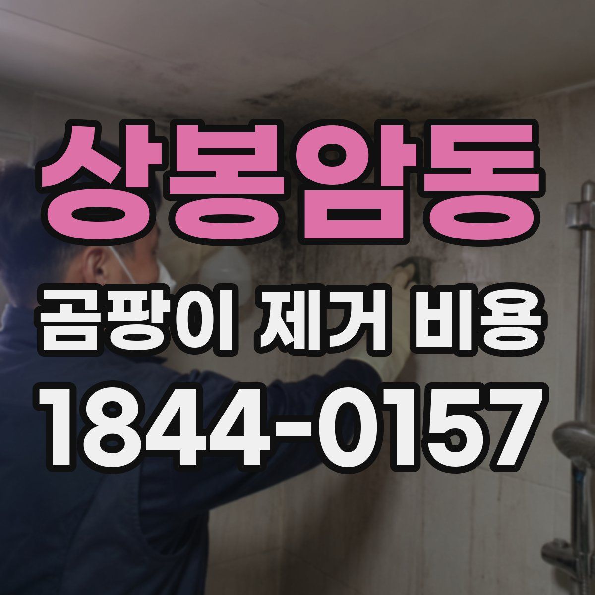 상봉암동 곰팡이 제거 비용
