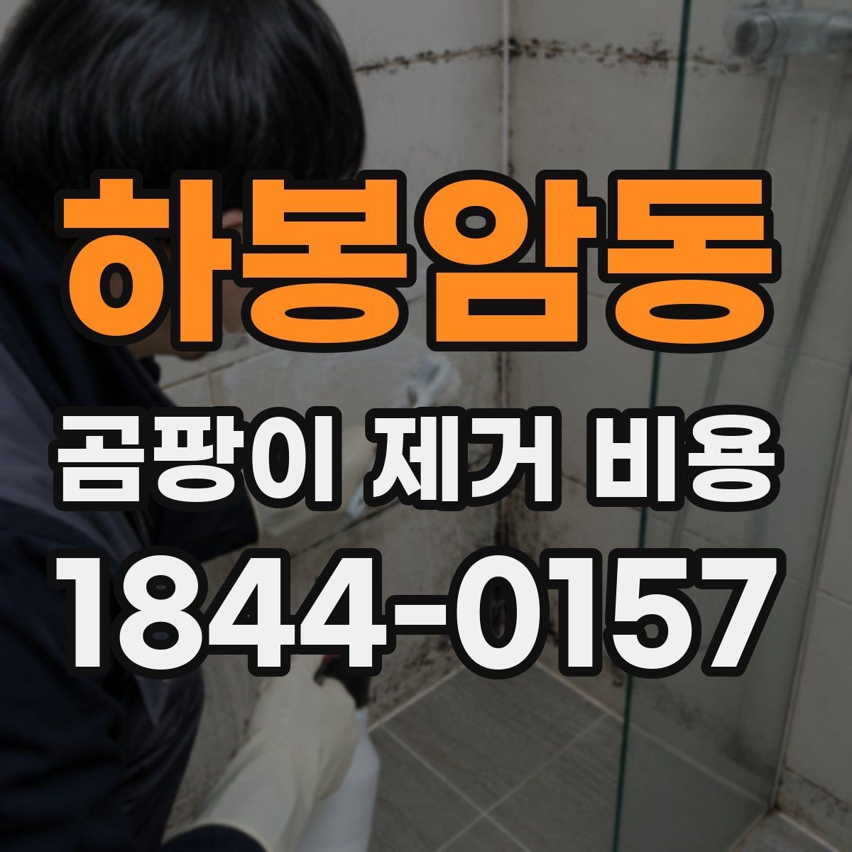하봉암동 곰팡이 제거 비용 추가 복구 공정이 붙는 대표 사례