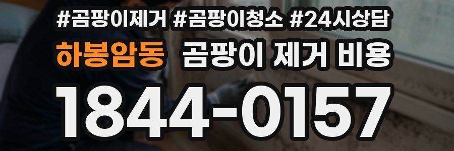 하봉암동 곰팡이 제거 비용