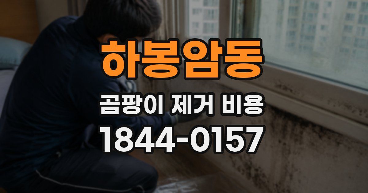 하봉암동 곰팡이 제거 비용