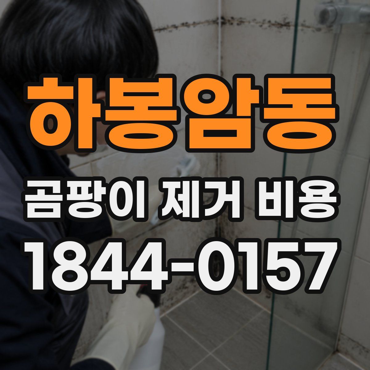 하봉암동 곰팡이 제거 비용
