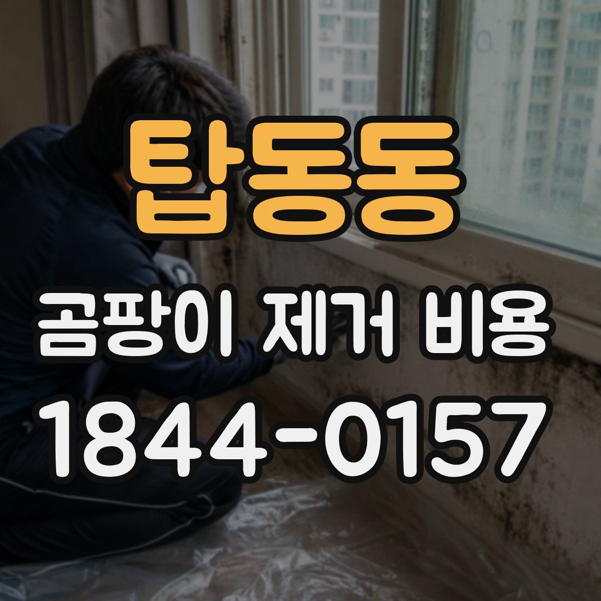 탑동동 곰팡이 제거 비용