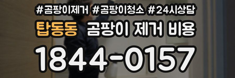탑동동 곰팡이 제거 비용
