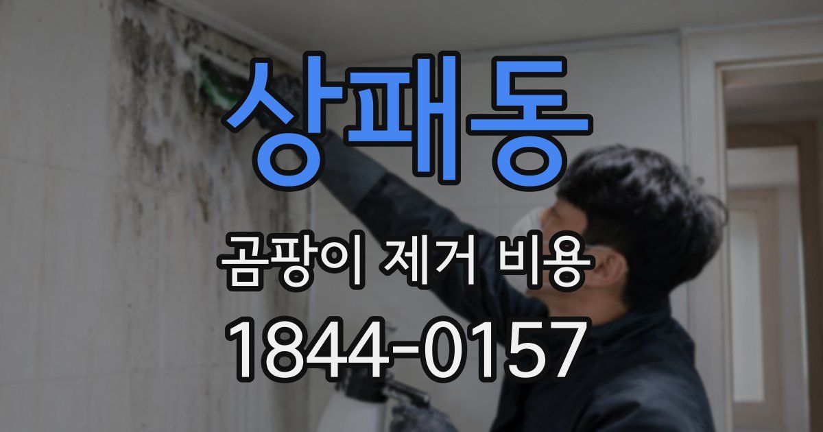 상패동 곰팡이 제거 비용