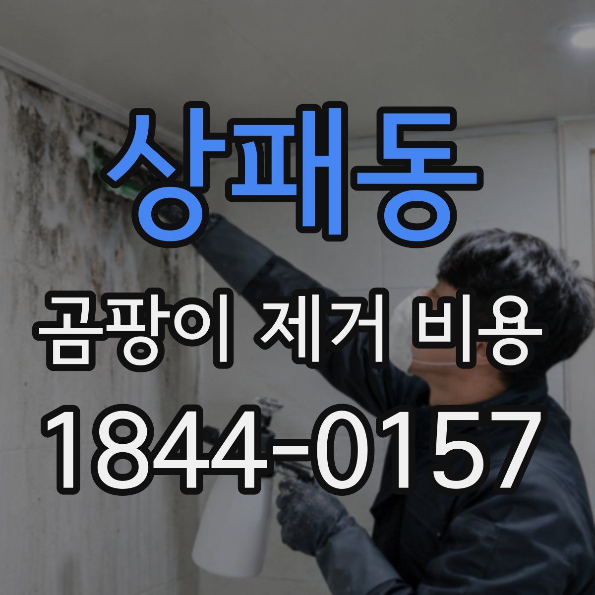 상패동 곰팡이 제거 비용