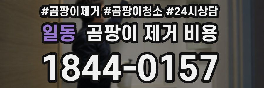 일동 곰팡이 제거 비용