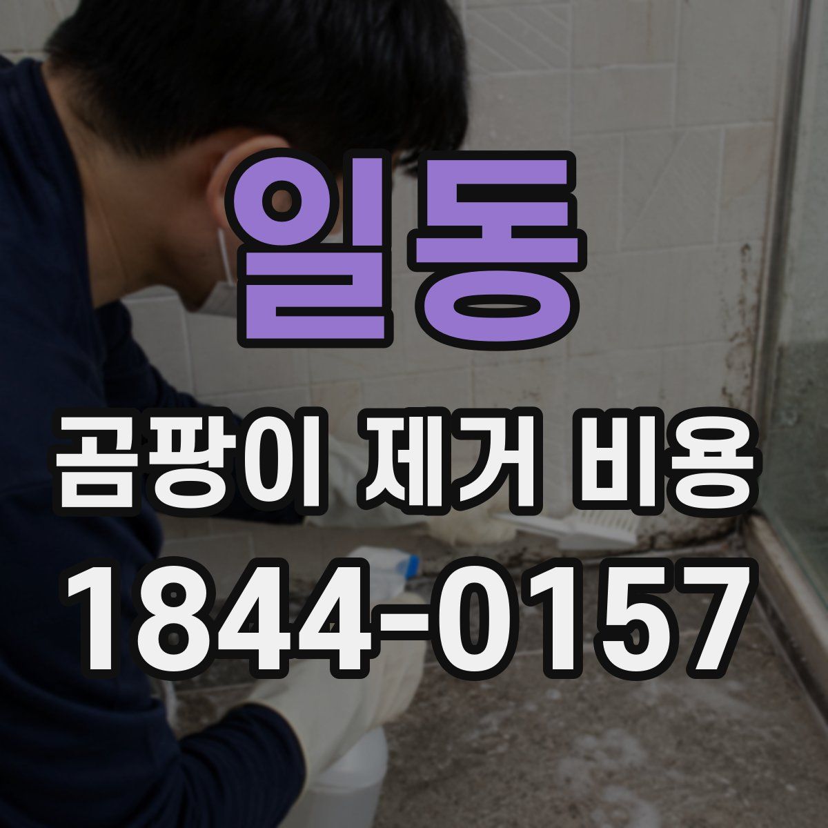 일동 곰팡이 제거 비용