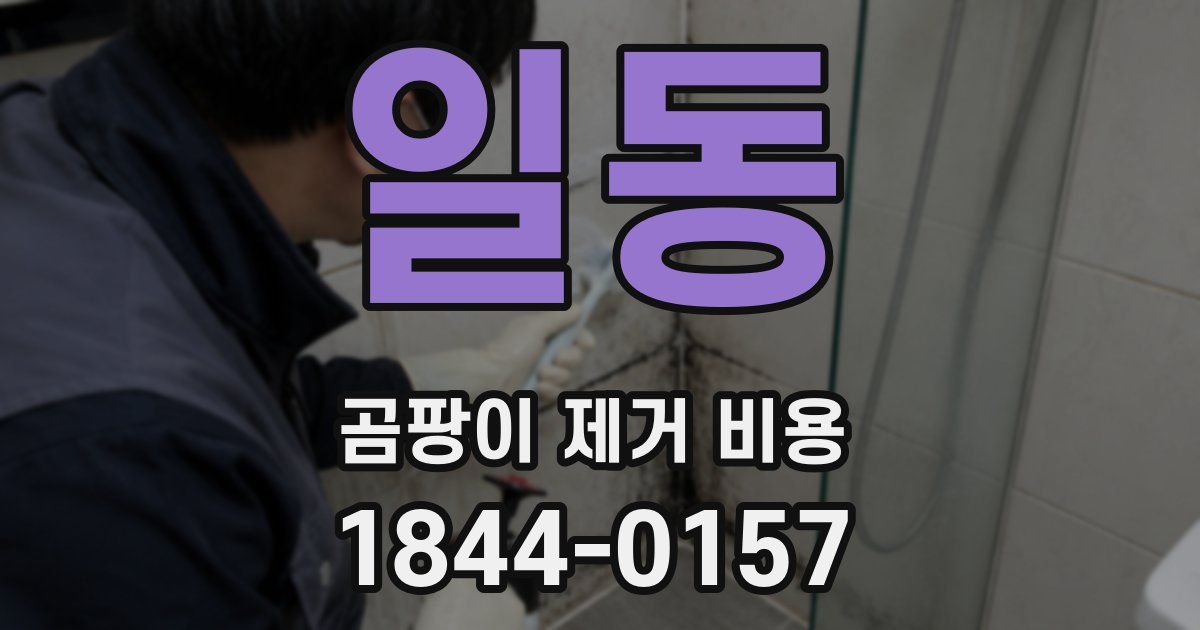 일동 곰팡이 제거 비용