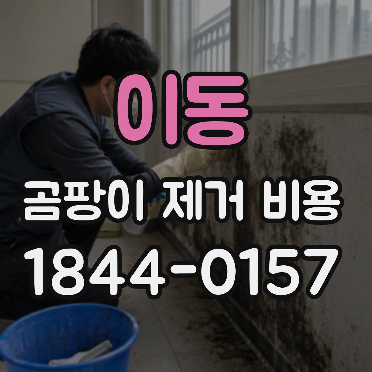 이동 곰팡이 제거 비용