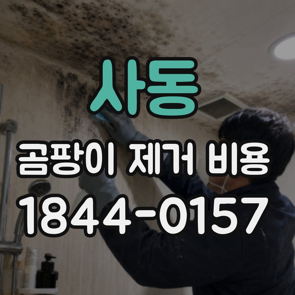 사동 곰팡이 제거 비용