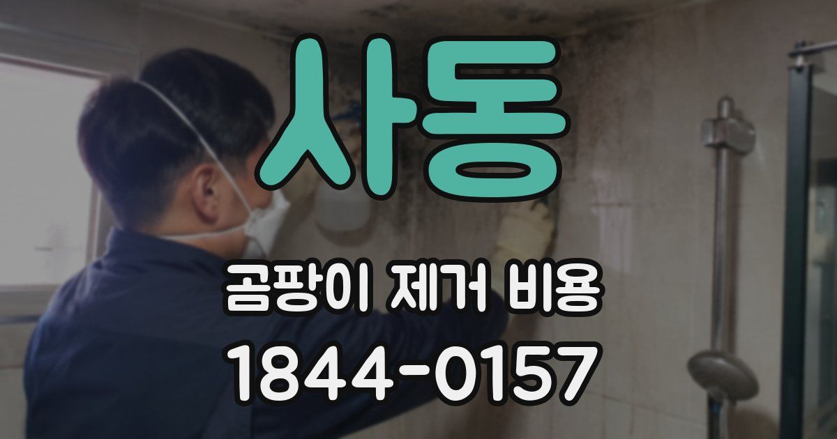 사동 곰팡이 제거 비용