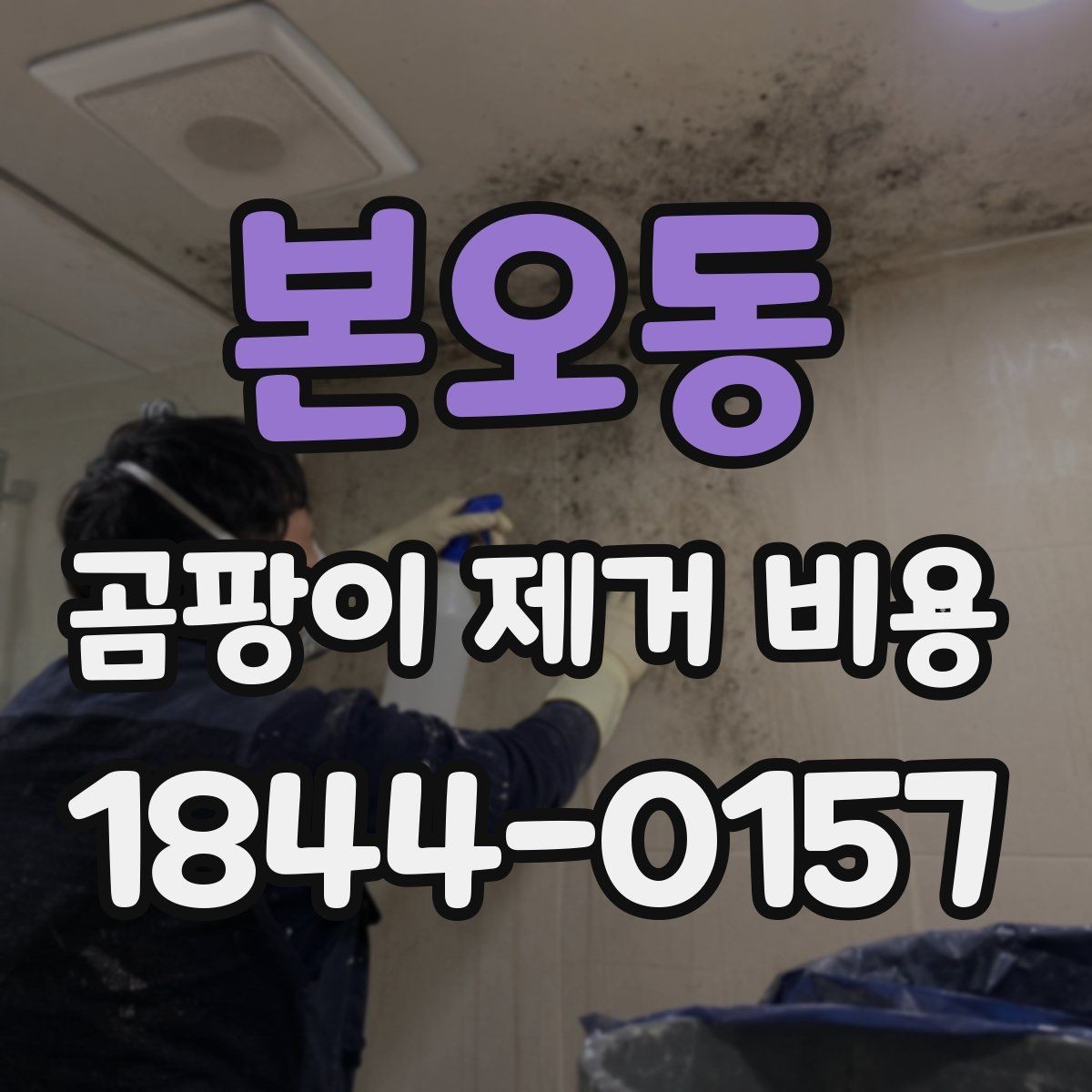 본오동 곰팡이 제거 비용 복구 범위가 넓어질 때 달라지는 항목