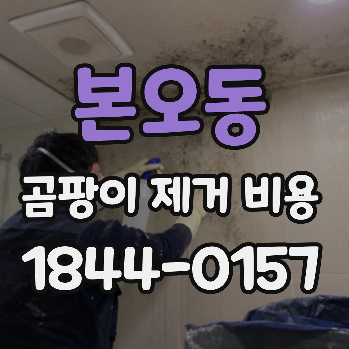 본오동 곰팡이 제거 비용