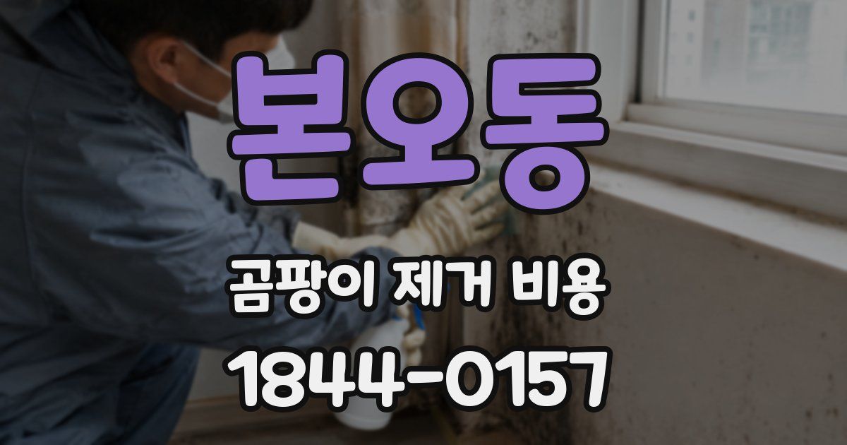 본오동 곰팡이 제거 비용