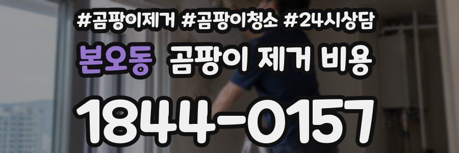 본오동 곰팡이 제거 비용