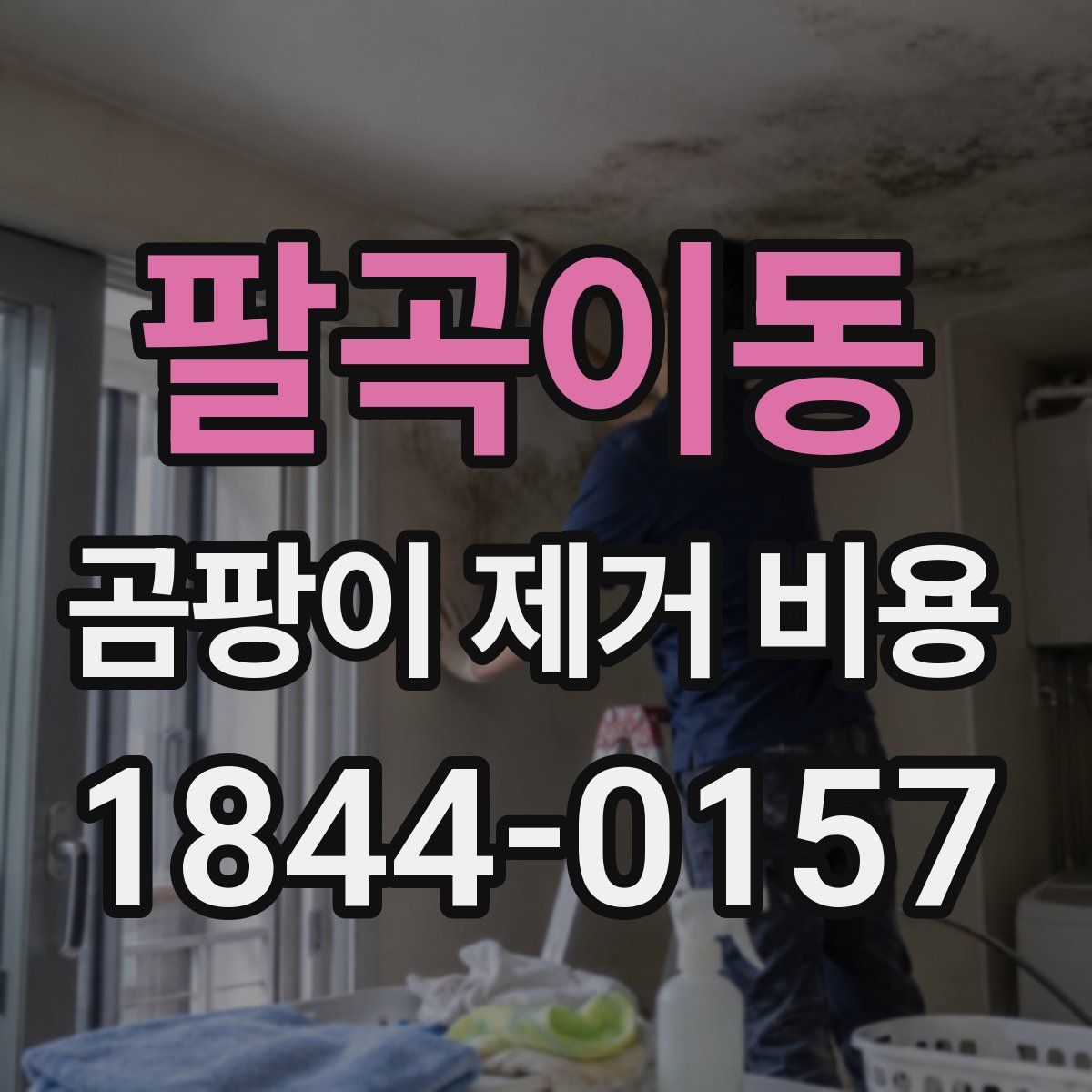 팔곡이동 곰팡이 제거 비용