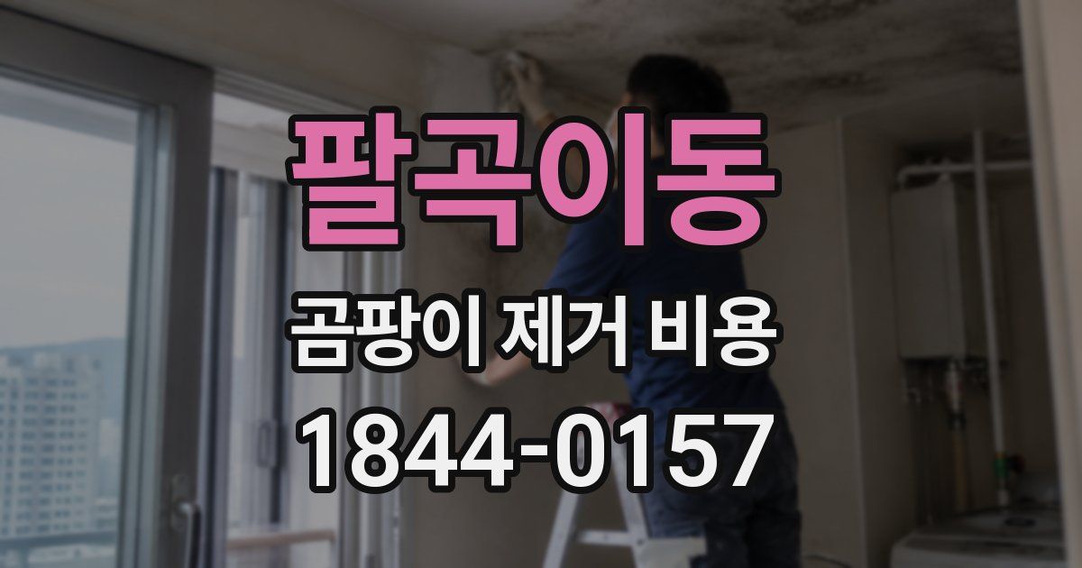 팔곡이동 곰팡이 제거 비용