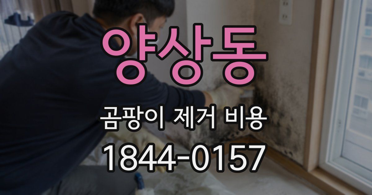 양상동 곰팡이 제거 비용